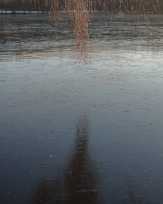 Stephan-Redel-0462-858-05837