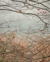 Stephan-Redel-0464-930-02424