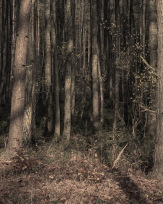 Stephan-Redel-0469-930-02396