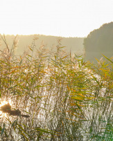 Stephan-Redel-0470-930-02363