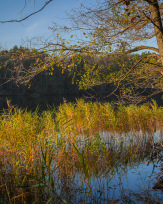 Stephan-Redel-0471-930-02353