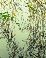 Stephan-Redel-0472-930-02330