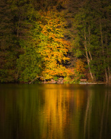 Stephan-Redel-0473-930-02313