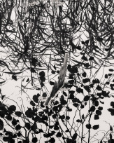 Stephan-Redel-0475-930-02325