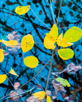 Stephan-Redel-0476-930-02312