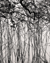 Stephan-Redel-0477-930-02326