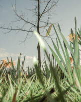 Stephan-Redel-0478-902-07555