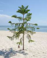 Stephan-Redel-0480-780-2576