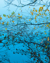 Stephan-Redel-0481-930-02300