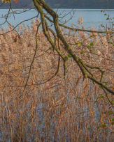 Stephan-Redel-0482-930-02268