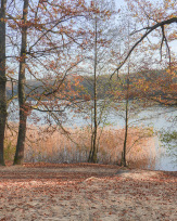 Stephan-Redel-0483-930-02265