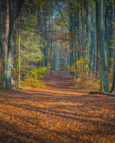 Stephan-Redel-0484-930-02255