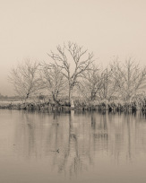 Stephan-Redel-0486-930-02194