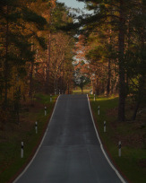 Stephan-Redel-0487-930-02455