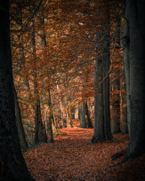 Stephan-Redel-0488-930-02348