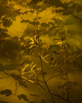 Stephan-Redel-0490-889-0105