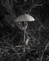 Stephan-Redel-0491-928-01819