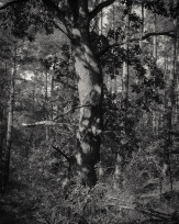 Stephan-Redel-0492-928-01776