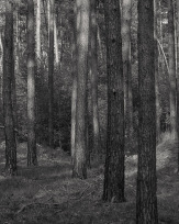 Stephan-Redel-0494-910-0073