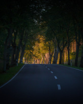 Stephan-Redel-0496-928-01849