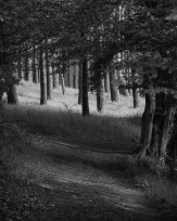 Stephan-Redel-0497-910-0070