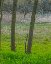 Stephan-Redel-0498-905-07868