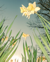 Stephan-Redel-0499-902-07549