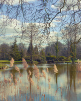 Stephan-Redel-0500-902-07254