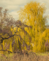 Stephan-Redel-0502-902-07268