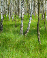 Stephan-Redel-0505-880-0042