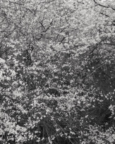 Stephan-Redel-0506-902-07125