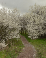 Stephan-Redel-0508-902-07124