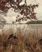 Stephan-Redel-0509-902-06929