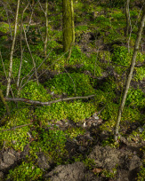 Stephan-Redel-0511-902-07123