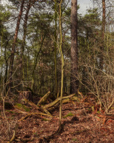 Stephan-Redel-0512-902-06933