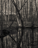 Stephan-Redel-0513-902-07086