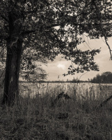 Stephan-Redel-0514-902-06928