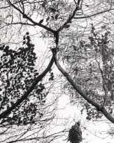 Stephan-Redel-0515-930-02331