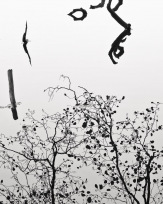 Stephan-Redel-0516-930-02315