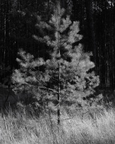 Stephan-Redel-0517-890-02327