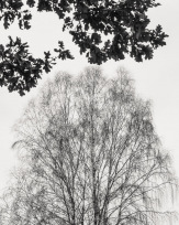 Stephan-Redel-0518-893-03781