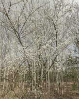 Stephan-Redel-0519-902-07120