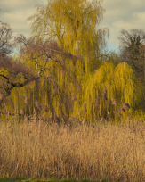 Stephan-Redel-0520-902-07264