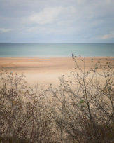 Stephan-Redel-0521-929-01854