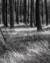 Stephan-Redel-0522-890-02322