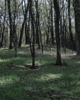 Stephan-Redel-0523-890-02309