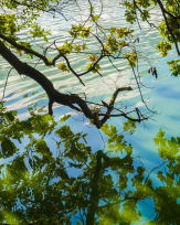 Stephan-Redel-0524-889-0098