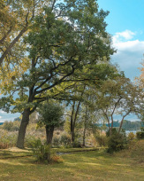 Stephan-Redel-0526-889-0019