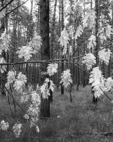 Stephan-Redel-0527-887-02020