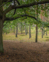 Stephan-Redel-0528-887-02010